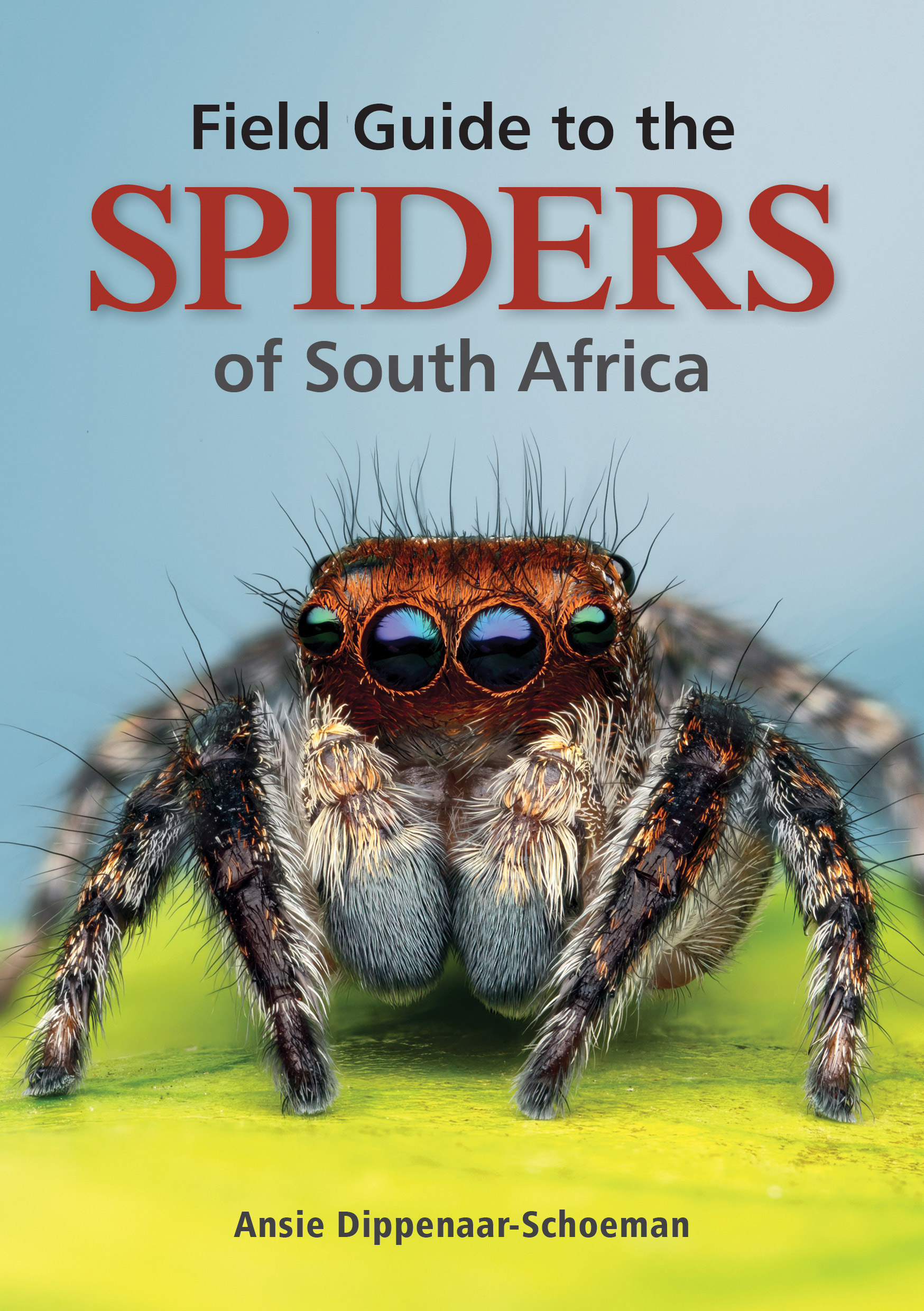 Field Guide to the Spiders of South Africa by Dippenaar-Schoeman, Ansie